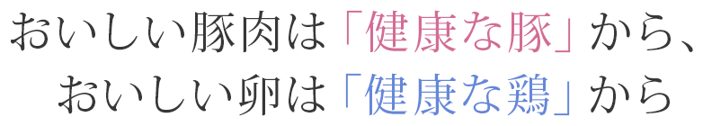 おいしい豚肉は「健康な豚」から、おいしい卵は「健康な鶏」から